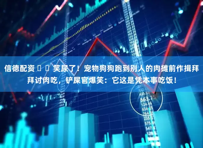 信德配资 ▶️笑尿了！宠物狗狗跑到别人的肉摊前作揖拜拜讨肉吃，铲屎官爆笑：它这是凭本事吃饭！
