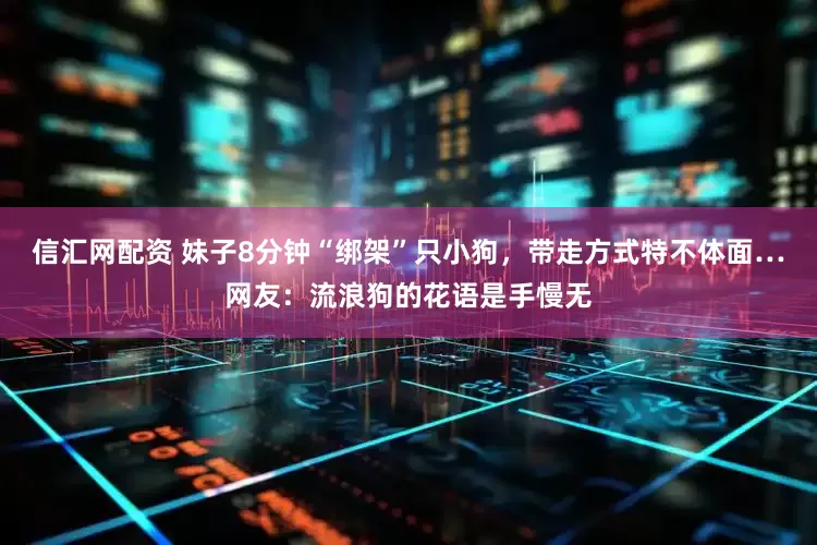 信汇网配资 妹子8分钟“绑架”只小狗，带走方式特不体面…网友：流浪狗的花语是手慢无