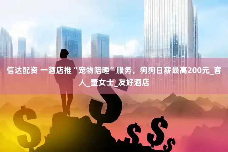 信达配资 一酒店推“宠物陪睡”服务，狗狗日薪最高200元_客人_董女士_友好酒店
